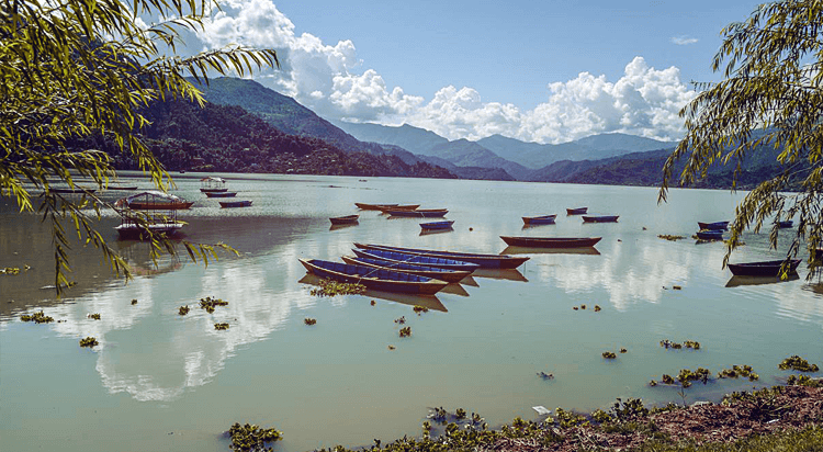 fewa lake pokhara nepal