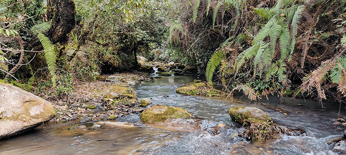 waterfall near chisapani